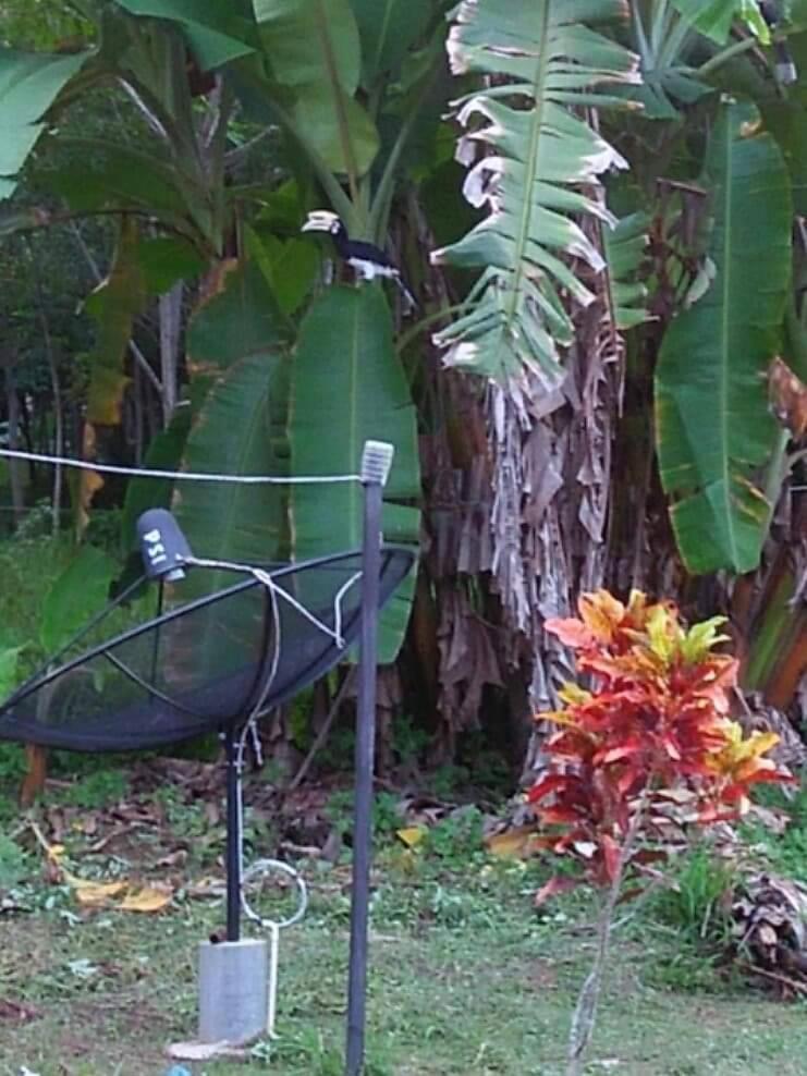 Bang Hon Homestay Ko Yao Noi Zewnętrze zdjęcie
